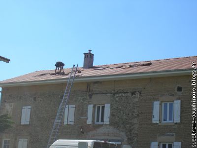 Démarrage des ouvertures sur toiture